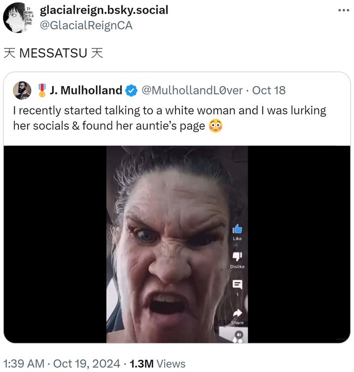 天 MESSATSU 天 IT MEANS HE'S A REAL ONE glacialreign.bsky.social @GlacialReignCA 天 MESSATSU 天 J. Mulholland @MulhollandLover • Oct 18 I recently started talking to a white woman and I was lurking her socials & found her auntie's page • 1:39 AM Oct 19, 2024 1.3M Views Like Dislike E Share ...