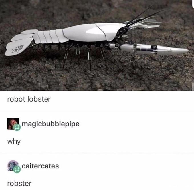 Robster robot lobster magicbubblepipe why caitercates robster