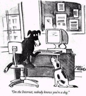 bfa.jpg On the Internet, nobody knous you're a dog