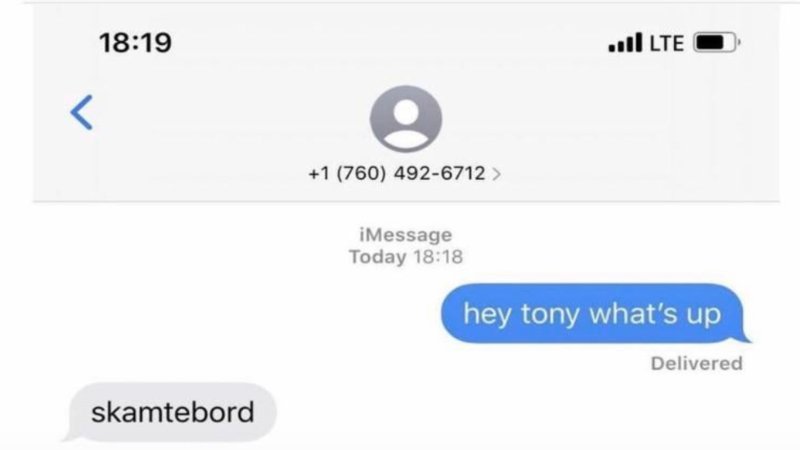 tony hawk skamtebord text