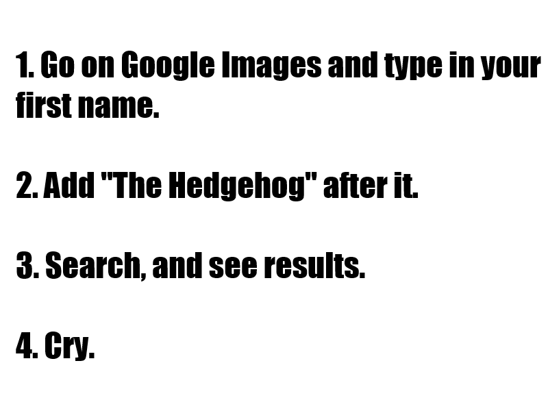 1. Go on Google Images and type in your first name. 2. Add "The Hedgehog" after it 3. Search, and see results. 4.Cry.